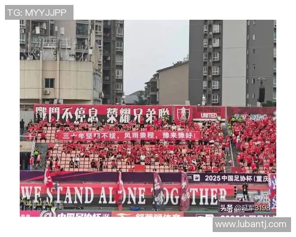 重庆乒乓球队逆袭之旅揭秘洲际杯背后的奋斗与荣耀